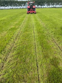 Grasland Woeler Demonstratie Weide en Water