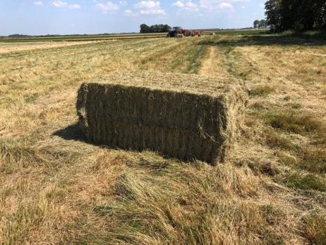 New Holland BB 1290 Vliedorp
